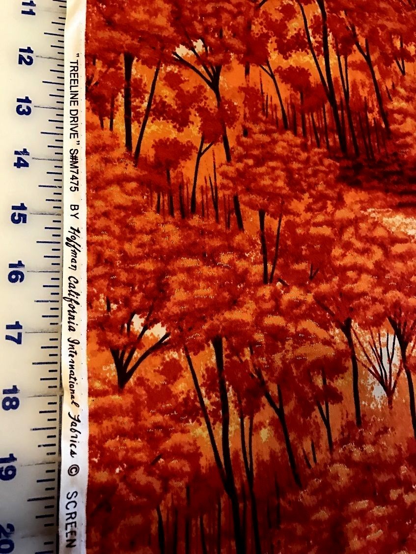 Foto 2 di 3