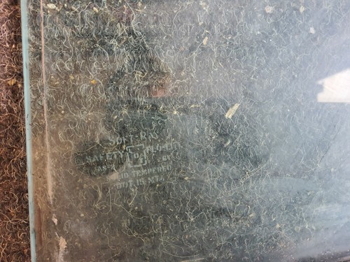 1971-1973 Buick Riviera Boattail Passenger Right Rear Quarter Window Glass OEM - Picture 4 of 4