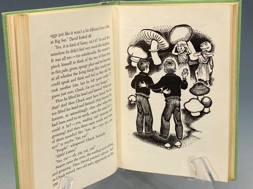 Wonderful Flight to the Mushroom Planet 1954 1st Ed Very Good Condition w/Jacket - Picture 16 of 19