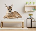 3D Süßer Hirsch H827 Tier Wallpaper Wandbild Poster Wandaufkleber Abziehbild Hon