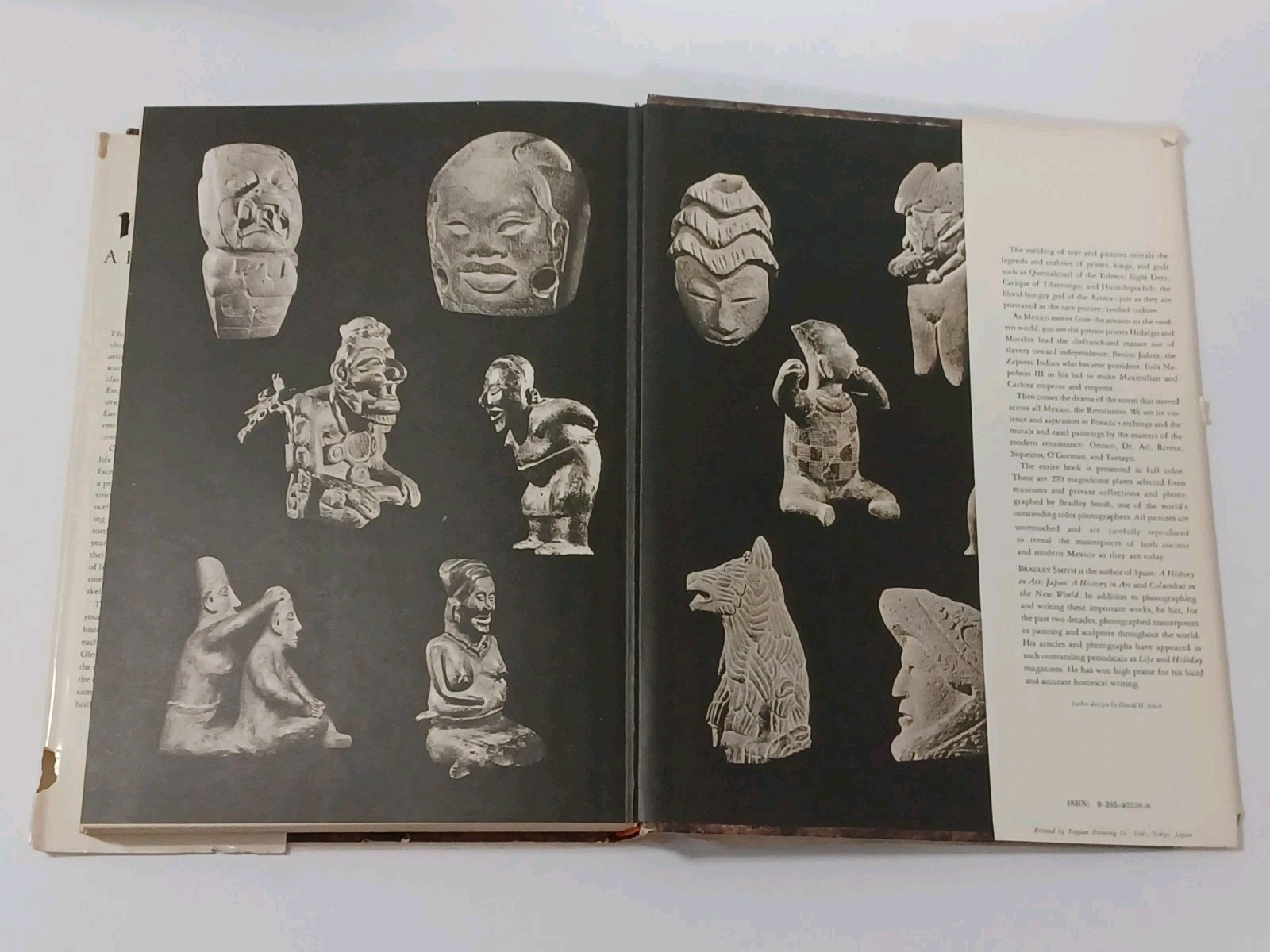Foto 10 di 10