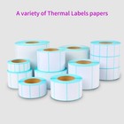 Self-Adhesive Waterproof Thermal Labels 30x20mm for Retail & Office Use 700 pcs