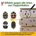 Bild 11 von 41