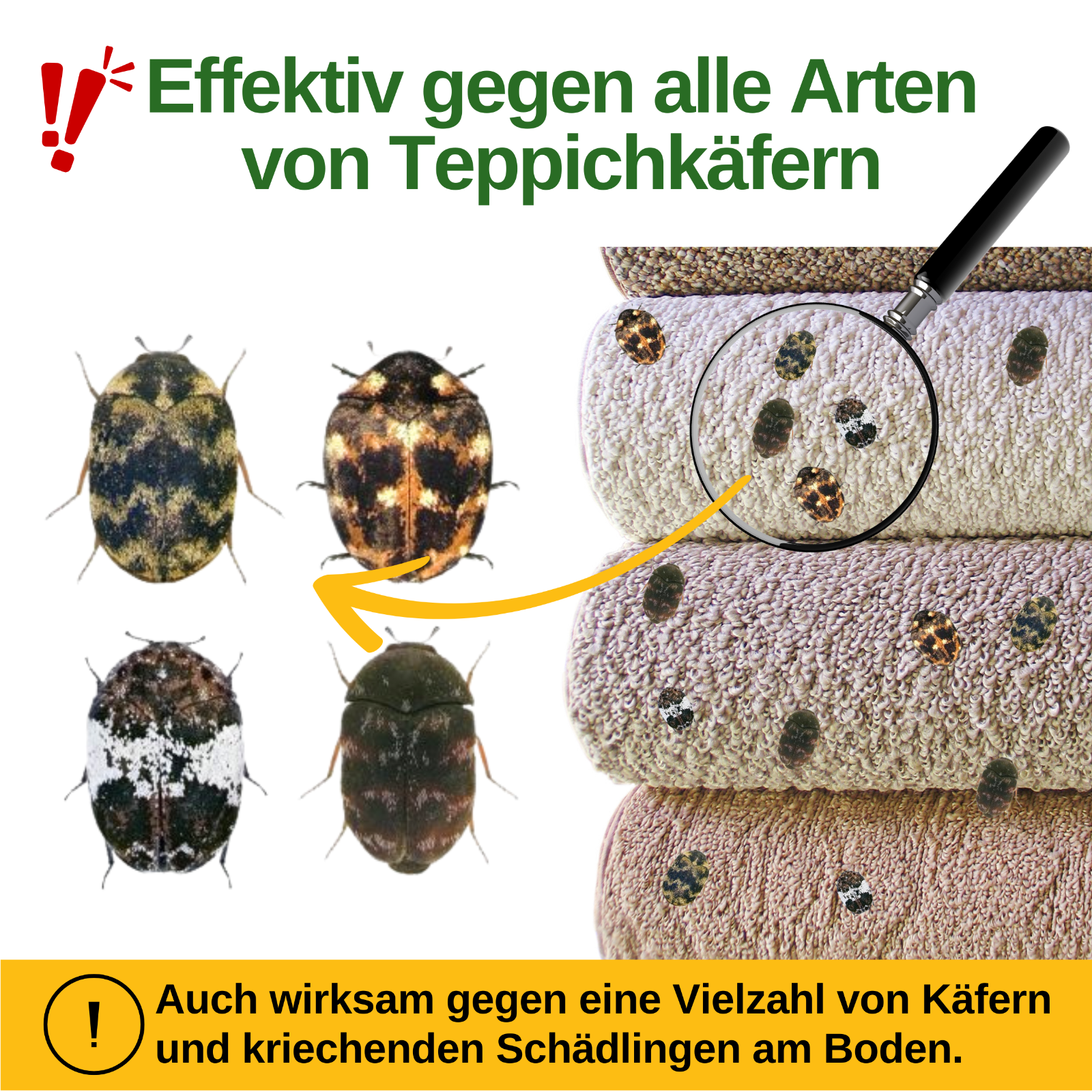 Bild 11 von 41
