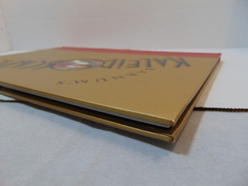 Barnum's Kaleidoscape (1999, Feld Enterinment) libro di souvenir premium - Foto 5 di 14