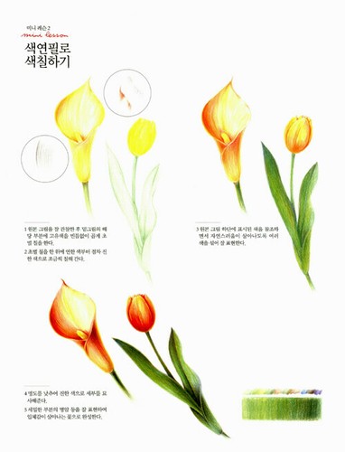 Botanical Art Coloring Book: Flower - Korean Guide 보타니컬 아트 컬러링북 : 플라워 편 - Imagen 9 de 11