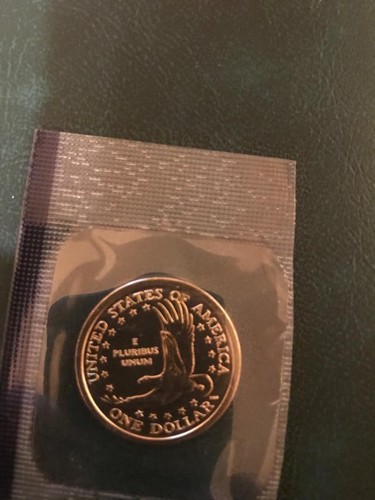 2002 P+D UNZIRKULIERT SACAGAWEA DOLLAR NOCH IN POSTFRISCH CELLO SCHÖN L@@K - Bild 4 von 4