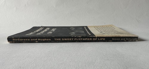 R. DeCarava/L. Hughes THE SWEET FLYPAPER OF LIFE | 1955 Erstdruck Taschenbuch - Bild 3 von 16