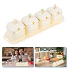 1 Set Lovely Household Seasoning Jar Kitchen Seasoning Jar Kit Condiment Box