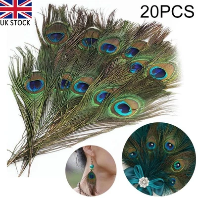20X Natural Peacock Feathers Real Peacock Tail Feathers 25-30CM Feathers Decors