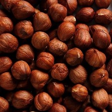 Turkish Natural Shelled Hazelnut Always Fresh 2025 Crop 11 oz.to30 lbs. Agro Sun