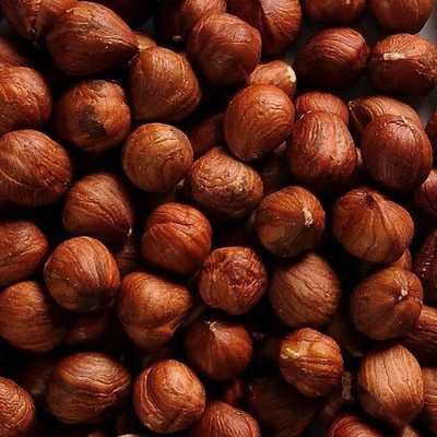 Turkish Natural Shelled Hazelnut Always Fresh 2025 Crop 11 oz.to30 lbs. Agro Sun