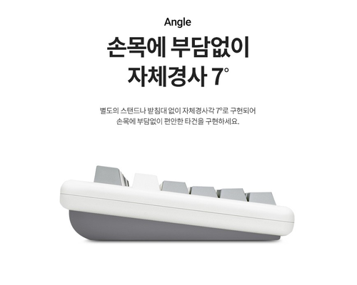 HANSUNG TFG ART Wireless V2 Dual Mechanical Keyboard (Korean) / 87key, Red axis - Picture 4 of 6