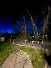 7.3-27 ft Extendable Pole Saw for High Branch Pruning - Sharp Carbon Steel Blade