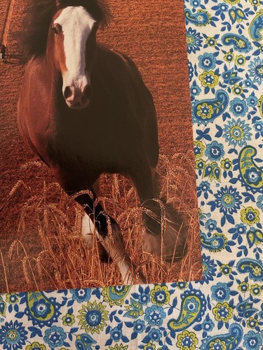 Vintage 1996 Budweiser Beer Print Ad U.S.A. Olympic Symbol - Picture 2 of 7