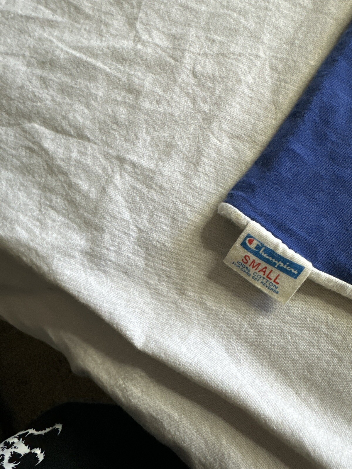 Picture 8 of 8