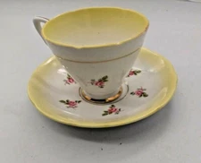 Royal Stafford Tea Cup and Saucer Set -- Pattern 1811 - 1950's