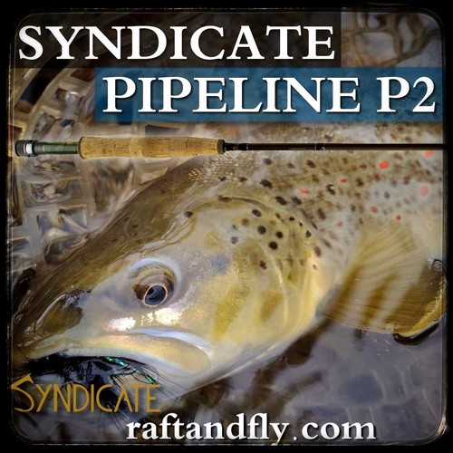 Syndicate P2 Pipeline Pro 3wt 10'0" Euro Nymph Rod | Lifetime Warr. - FREE SHIP - Picture 1 of 5