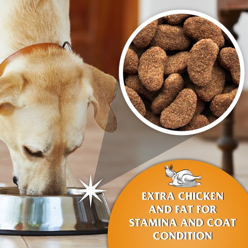 Dr John Gold Dry Dog Food 4x4kg Chicken with Vegetables Adult Working Dogs - Picture 3 of 6