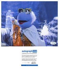 Cynthia Erivo Signed Autographed FRAGGLE ROCK The Archivist 8x10 Photo ACOA N Cynthia Erivo Signed Autographed FRAGGLE ROCK The Archivist 8x10 Photo ACOA N