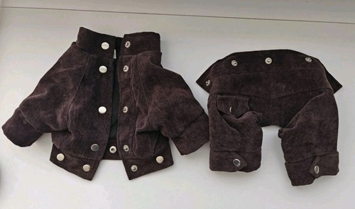 Dunkelbraune Cordjacke/-hose für kleine Hunde XS (Mini Yorkie/Chihuahua...) - Bild 7 von 8