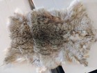 Scrap Rabbit Pelts — photo 9