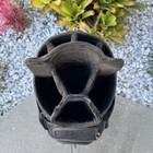 Picture 6 of 16