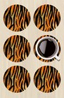 Tiger Print Drink Coasters Set of Six Neoprene