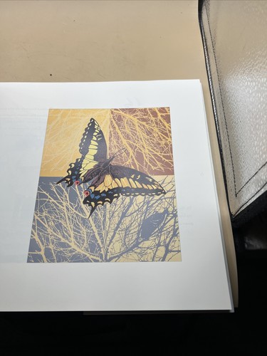 Palms to Peaks The Art of Janet Edwards Redlands California Rare - Picture 8 of 15