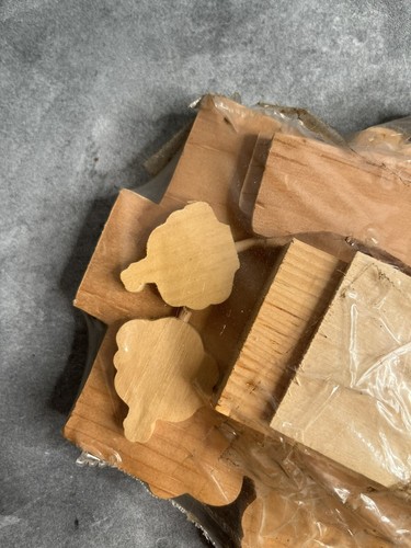 Lindo kit de madera como botón III Noah & Co todas las piezas para pintar y completar #533 - Imagen 3 de 5