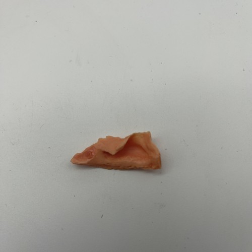 3B Scientific Right Inferior Nasal Concha Spare Part for A291 Skull Model