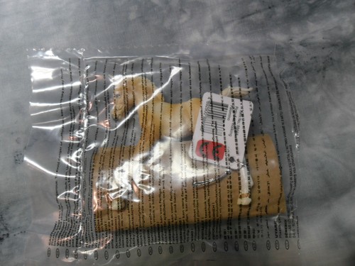 CollectA Nuovo con scatola * Walking Pinto Foal - Palomino * #88668 Modellino Cavallo Giocattolo Figurina - Foto 11 di 11