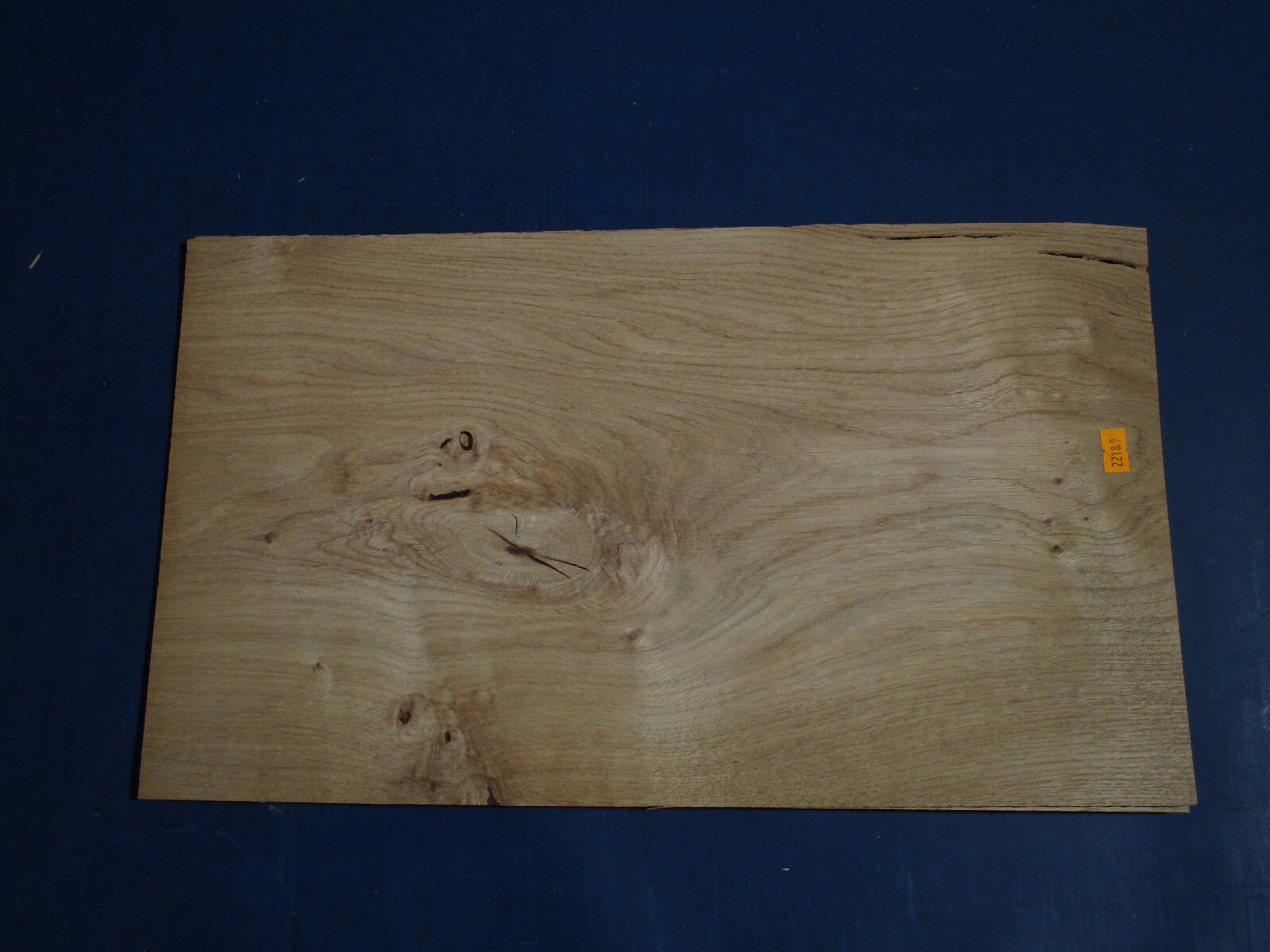 Bild 8 von 11