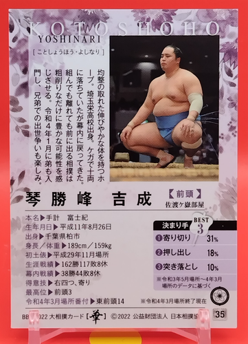 Tarjeta coleccionable Kotoshoho Yoshinari/luchador de sumo BBM TCG Japón japonés #35 - Imagen 2 de 10