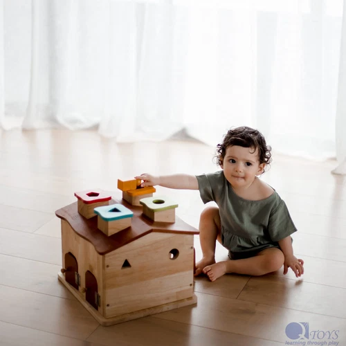 QToys USA Sorting Cottage & Play House