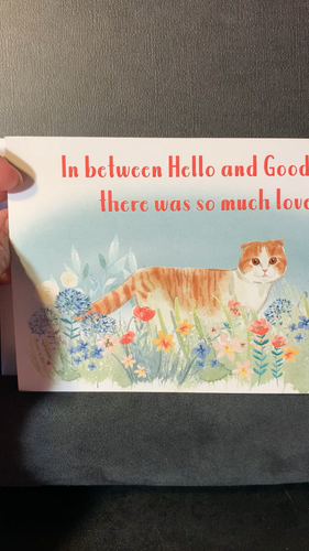 Sympathy Condolences Greeting Card Loss of Pet Cat Much Love - Video 1 van 1