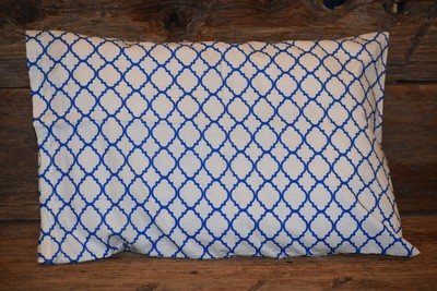 New Handmade Toddler Travel Size Pillow w/ Blue Pillowcase Daycare Kids Pillow New Handmade Toddler Travel Size Pillow w/ Blue Pillowcase Daycare Kids Pillow