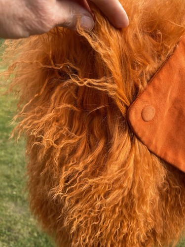 Bunmi Koko A/W 2011 Runway Orange Suede / Mongolian Fur Shrug Cape Size L - Picture 16 of 18