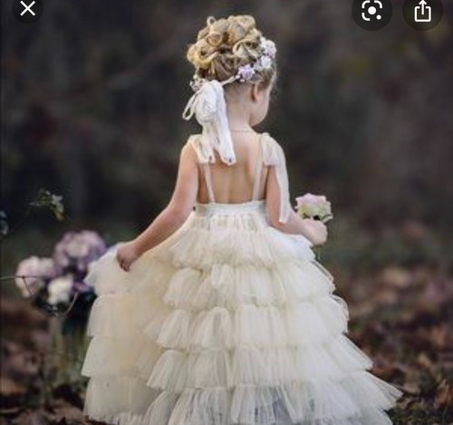 Dollcake Vintage Bless Your Heart Dress Size 5 NWT - Picture 2 of 9
