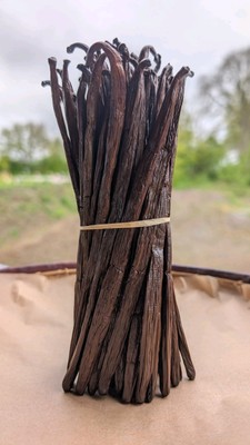 Vanilleschoten Vanillestange Vanilla Beans Bourbon Vanille de Madagaskar 18-20cm
