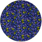 Blueberry Jar Opener Silicone Stylish Daily Use Kitchen And Dining Decorative