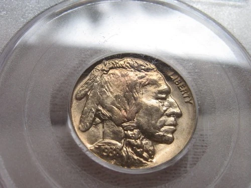 1938 D Buffalo Nickel old PCGS holder, MS66, Superb Gem BU coin!