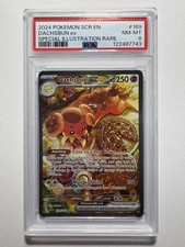 Dachsbun ex 169/142 Sv07: Stellar Crown Holo PSA 8 🔥🔥🔥