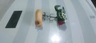 Self Propelled Frog And Glow Mouse