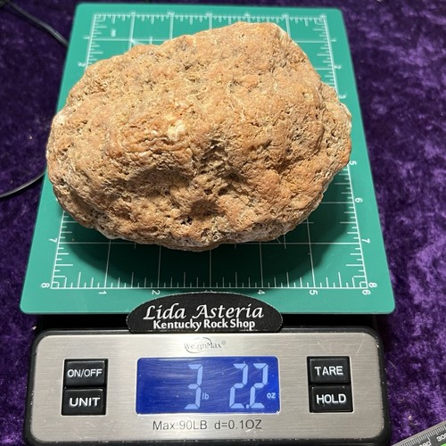 Unopened Geode 5-1/2” Large Fossil Quartz Crystal Rattler Uncut Break Your Own - Picture 6 of 11