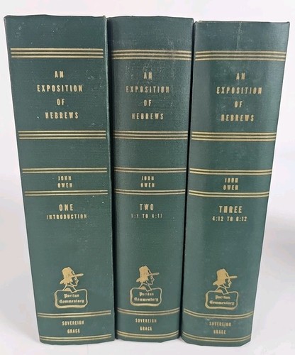 Eine Ausstellung der Hebräer, Bände 1-3 Intro - 8:11 & Erster Johannes, John Owen  - Bild 6 von 12