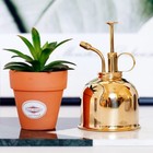  3 Pieces Sprühnebel Flasche Wasser Sprühflasche Bewässerung Kann