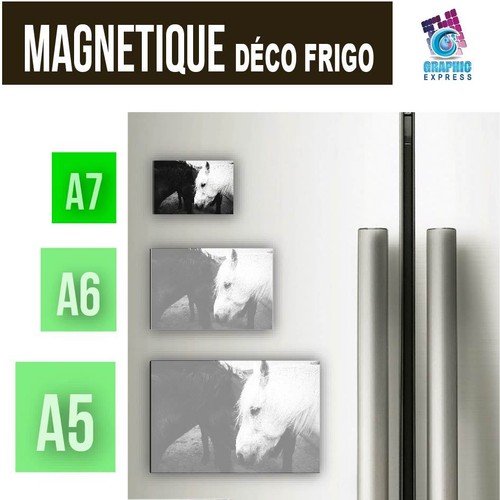 A5-A6-A7 - Magnético Decoración - Caballo Caballos Potro Yegua Animales CH-05 - Bild 2 von 7