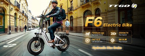 F6 20 Zoll E-Fatbike Elektrofahrrad 250W 36V 25Ah Shimano 7-Gang Klapprad Weiß - Bild 15 von 15