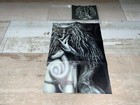 Picture 5 of 8